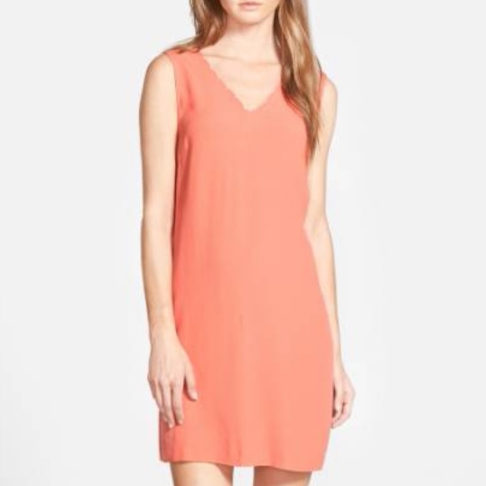NEW Chelsea28 Scalloped Neck Shift Dress